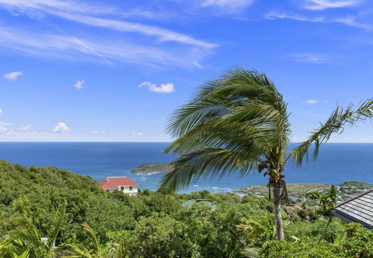 Bungalow in Saint Barthélemy - Sun - Ocean view village with private plunge pool